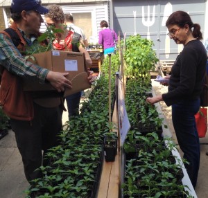 2014 plant sale