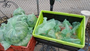 Grow2Give Garden Gleaning @ Peterson Garden Project Community Gardens
